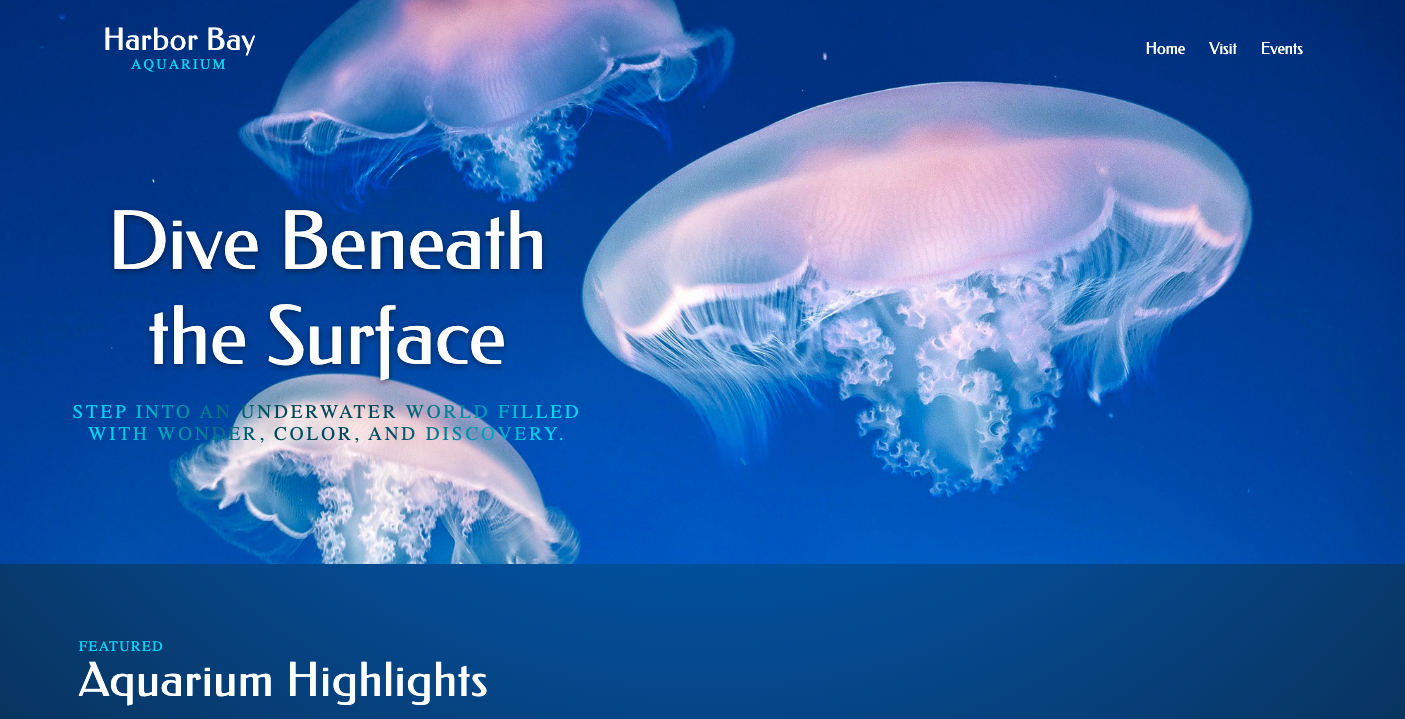 Your Project — preview